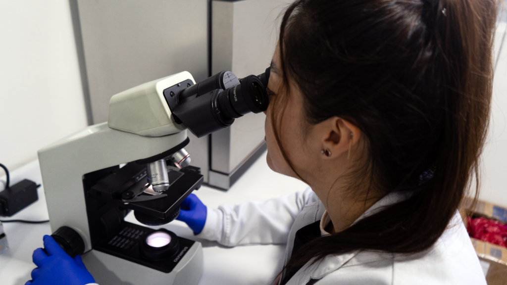 EXAMENES DE LABORATORIO CLINICO EN QUITO ECUADOR 2026 VISALUD HOSPITAL DEL DIA